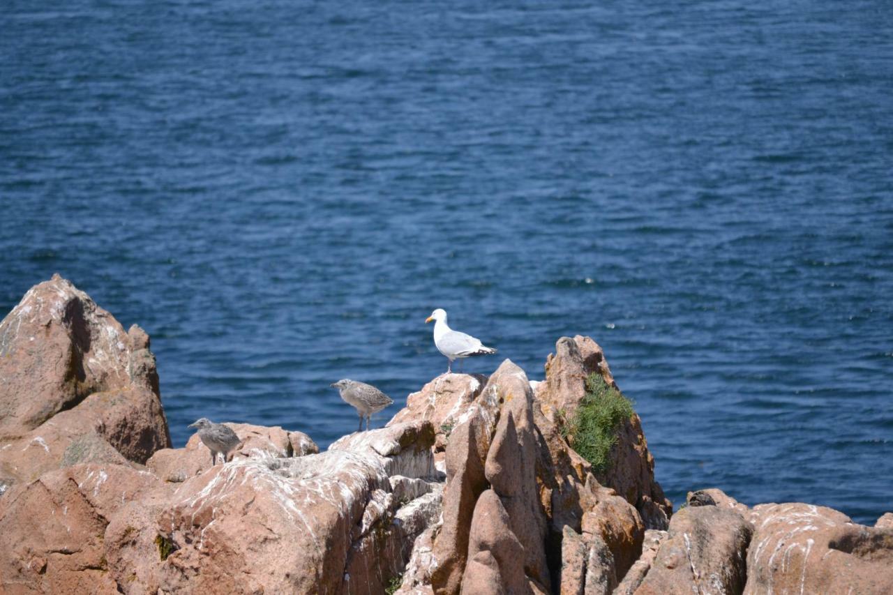 Gite De La Marina Dans La Presqu'Ile De Lezardrieux Exterior photo